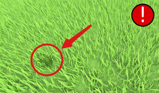 Game Screenshot Obby: Be Grass
